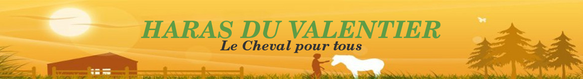 HARAS DU VALENTIER